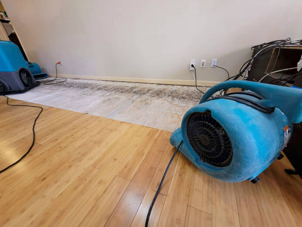Professional Structural Drying technician working in Mount Carmel, OH